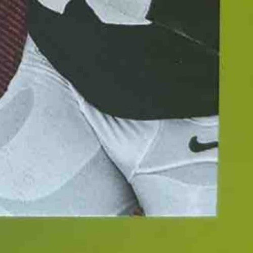 2013 Absolute Andre Ellington Tools of Trade Rookie Material Auto /25 Cardinals - Sports Cards