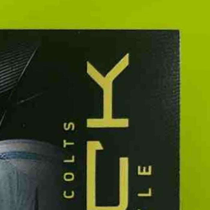 2013 Panini Black Jack Doyle Gold /49 #194 RC Indianapolis Colts - Sports Cards