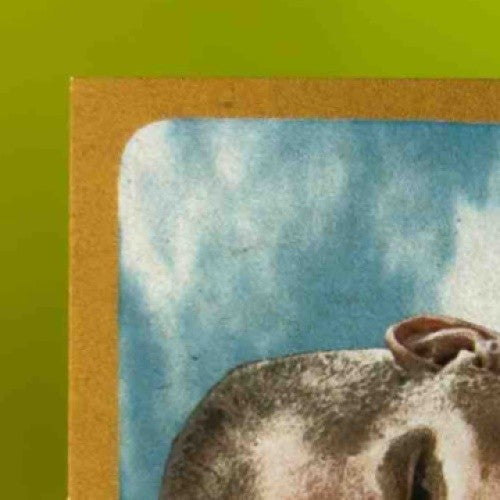 2014 Topps Brett Favre 1963 Mini #263 Green Bay Packers - Sports Cards