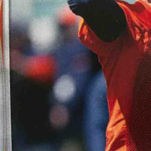 2014 Topps David Fales Gold 426/2014 #385 RC Chicago Bears - Sports Cards