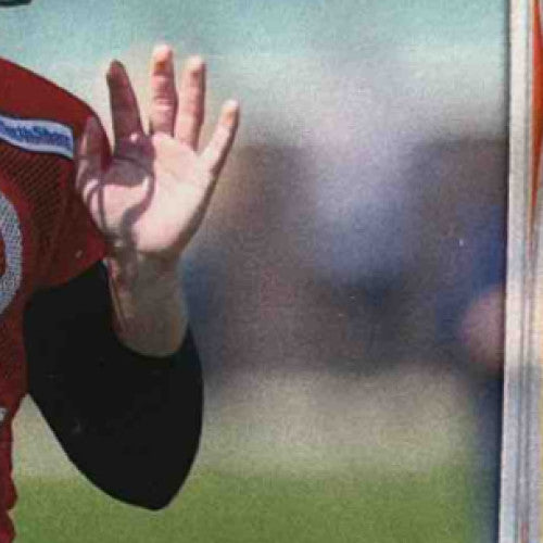 2014 Topps David Fales Gold 426/2014 #385 RC Chicago Bears - Sports Cards