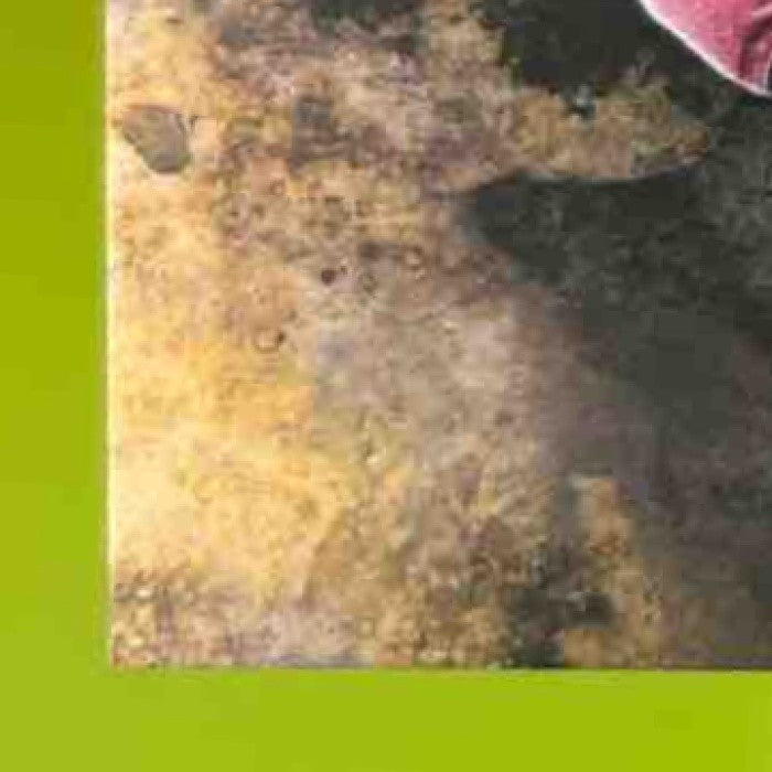 2014 Topps Inception DeSean Jackson #53 Washington Redskins - Sports Cards