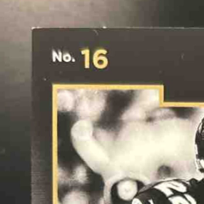 2015 Panini Black Gold Matt Forte /199 #16 Chicago Bears - Sports Cards