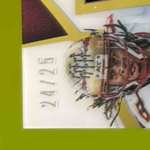 2015 Panini Immaculate Collection Devonta Freeman College Standard /25 Seminoles - Sports Cards