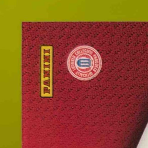 2015 Panini Immaculate Collection Devonta Freeman College Standard /25 Seminoles - Sports Cards