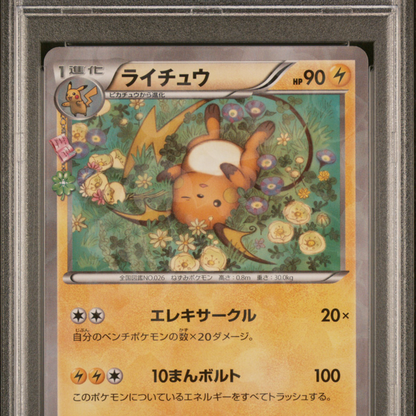 2016 Pokemon XY Pokekyun Collection Raichu #011