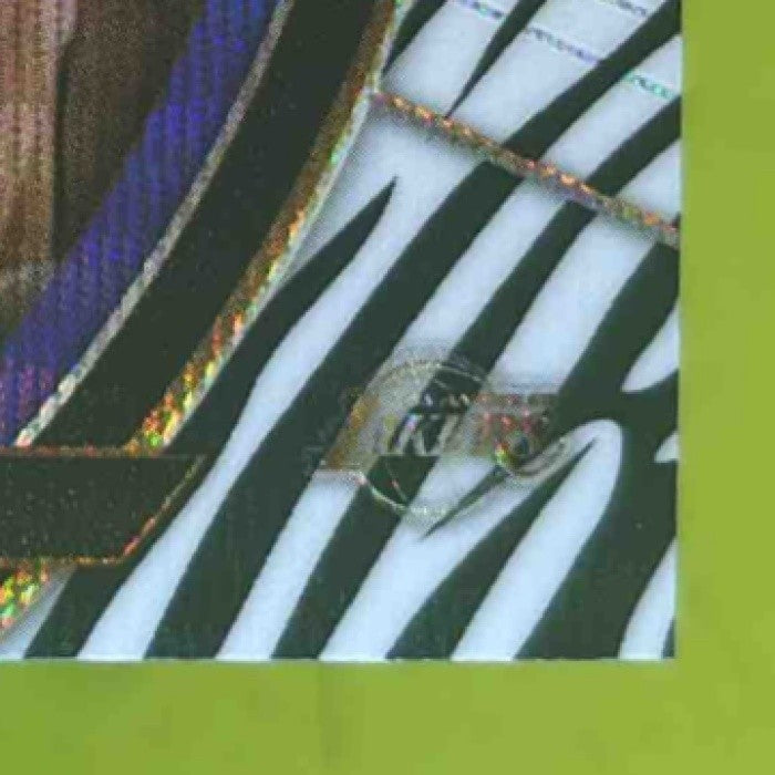 2017-18 Panini Select Brook Lopez Zebra Prizms #77 Concourse Los Angeles Lakers - Sports Cards