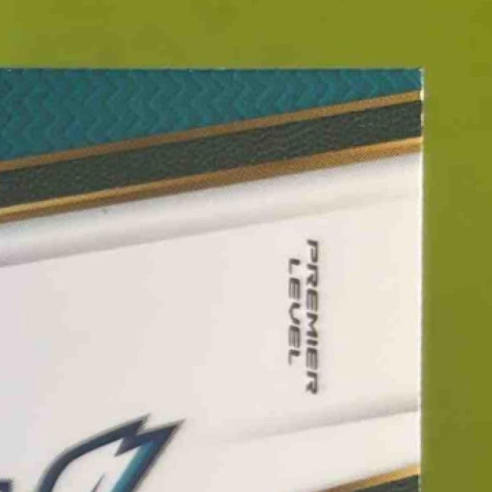 2017-18 Panini Select Cody Zeller Zebra Prizms #133 Charlotte Hornets - Sports Cards