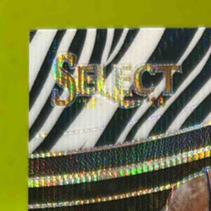 2017-18 Panini Select Courtney Lee Zebra Prizms #269 Courtside New York Knicks - Sports Cards