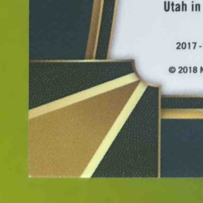 2017-18 Panini Select Gorgui Dieng Zebra Prizms #13 Minnesota Timberwolves - Sports Cards