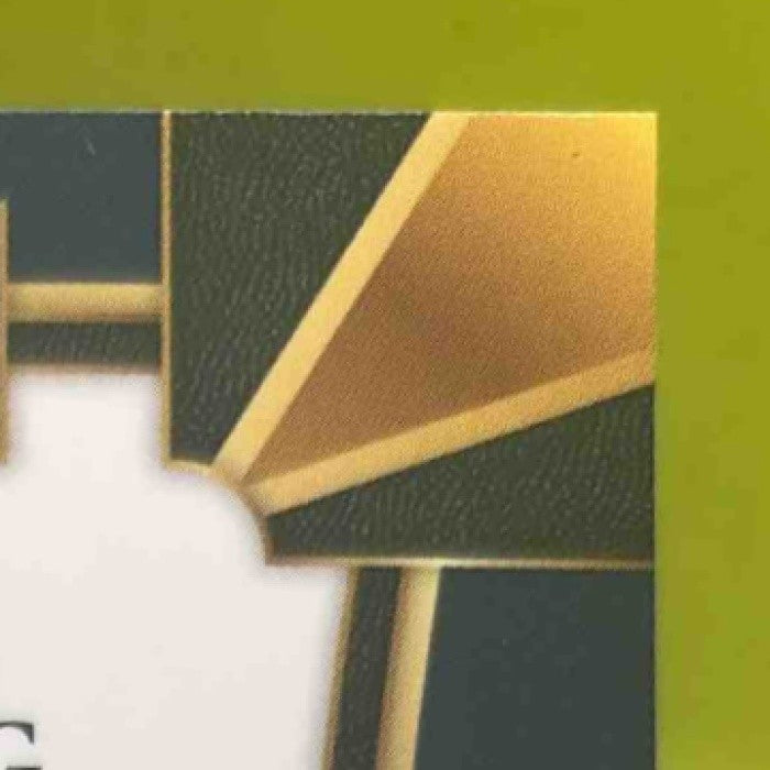 2017-18 Panini Select Gorgui Dieng Zebra Prizms #13 Minnesota Timberwolves - Sports Cards