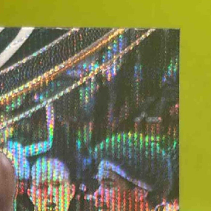 2017-18 Panini Select Hassan Whiteside Zebra Prizms #245 Courtside Miami Heat - Sports Cards