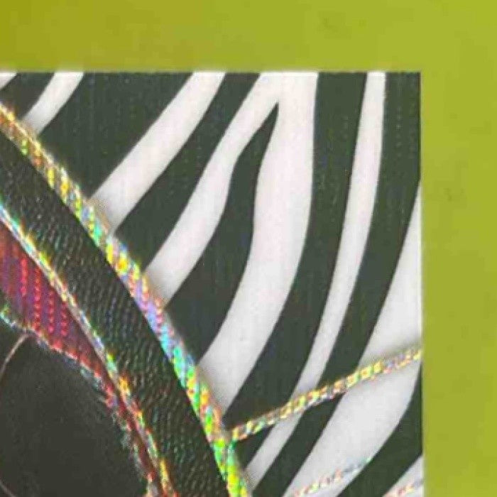 2017-18 Panini Select James Johnson Zebra Prizms #73 Concourse Miami Heat - Sports Cards