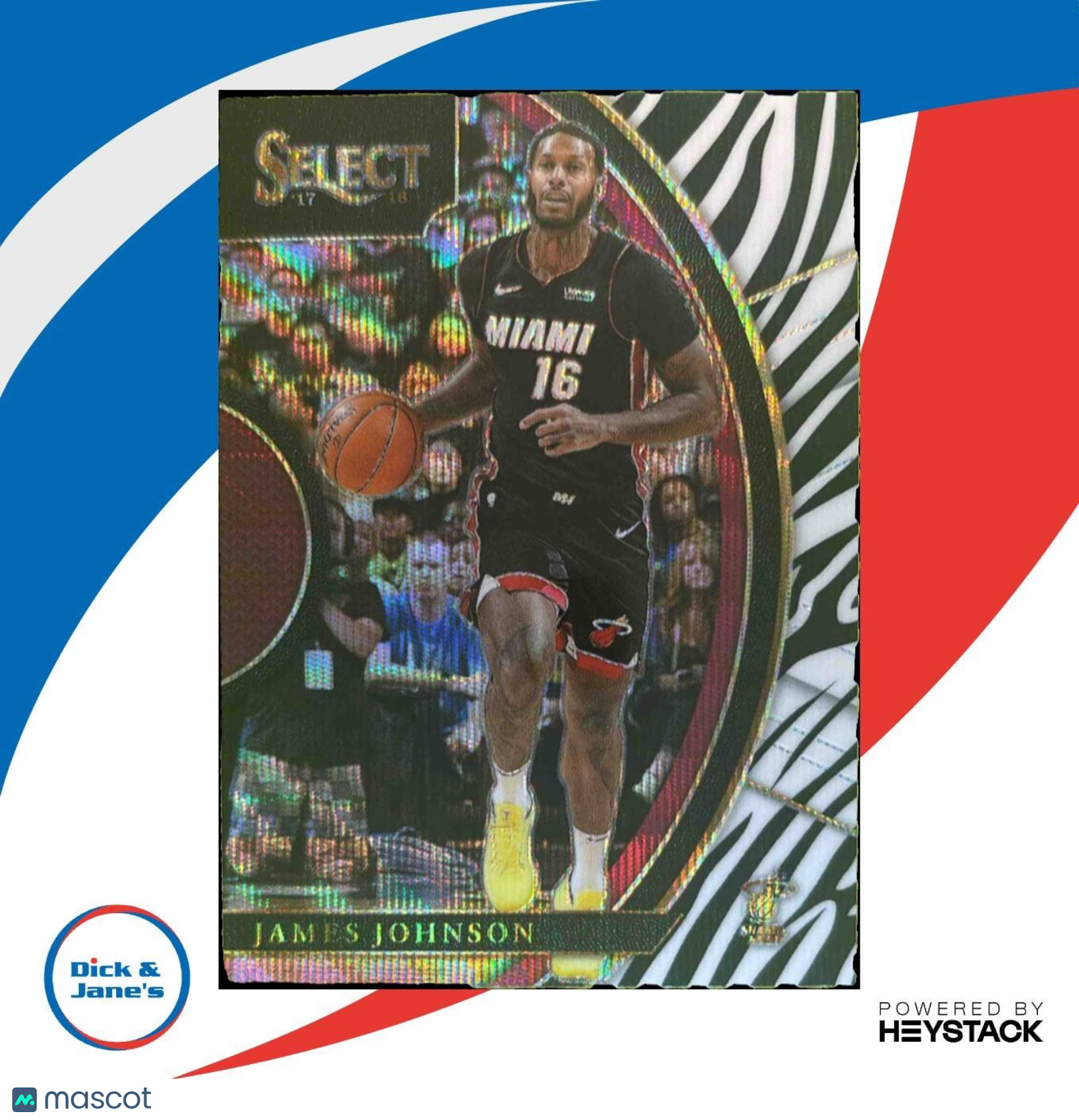 2017-18 Panini Select James Johnson Zebra Prizms #73 Concourse Miami Heat - Sports Cards