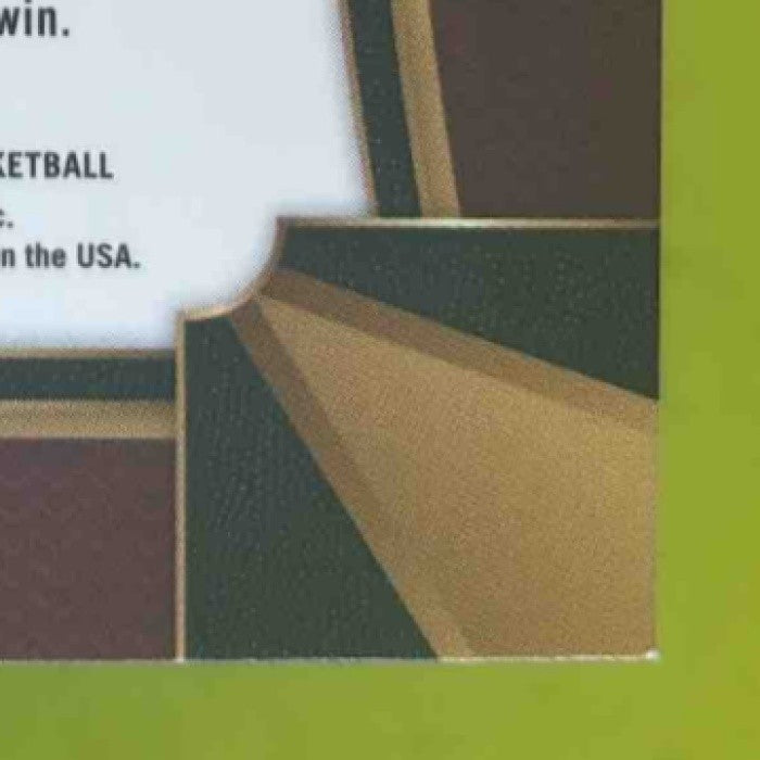 2017-18 Panini Select James Johnson Zebra Prizms #73 Concourse Miami Heat - Sports Cards