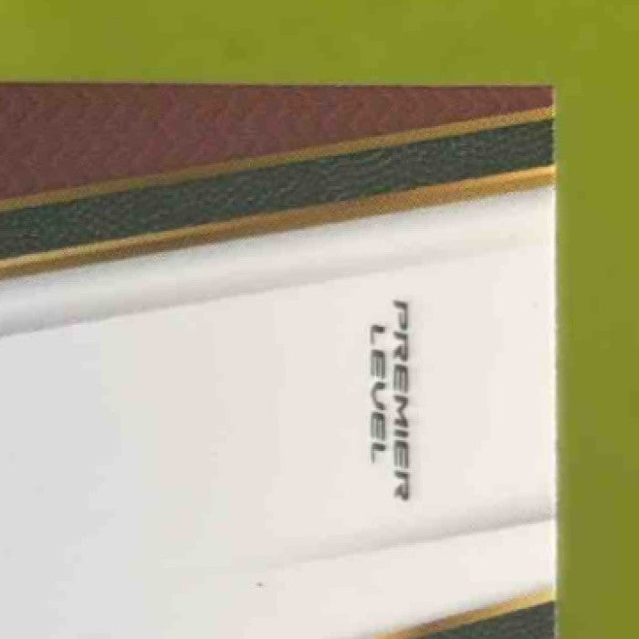 2017-18 Panini Select Justise Winslow Zebra Prizms #140 Premier Level Miami Heat - Sports Cards