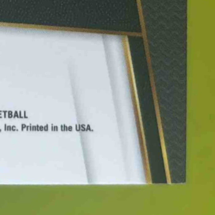 2017-18 Panini Select Nik Stauskas Zebra Prizms #104 Premier Level Brooklyn Nets - Sports Cards