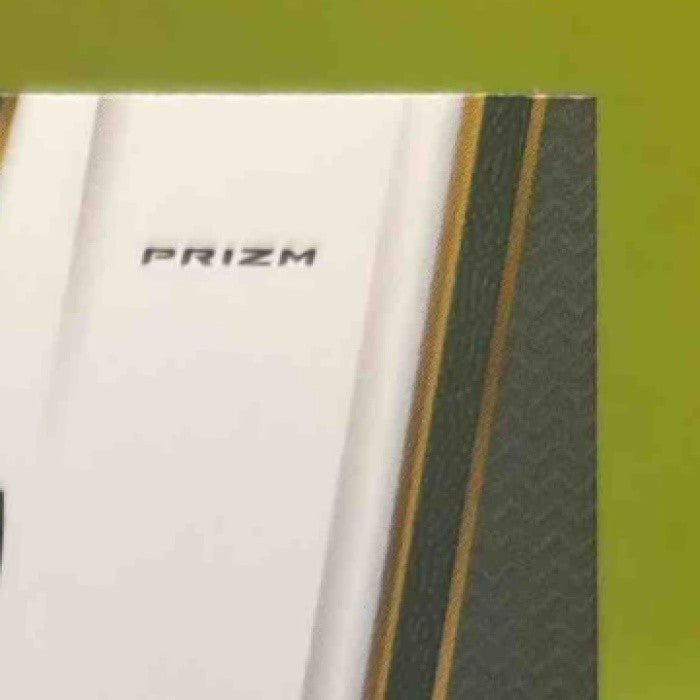 2017-18 Panini Select Nik Stauskas Zebra Prizms #104 Premier Level Brooklyn Nets - Sports Cards