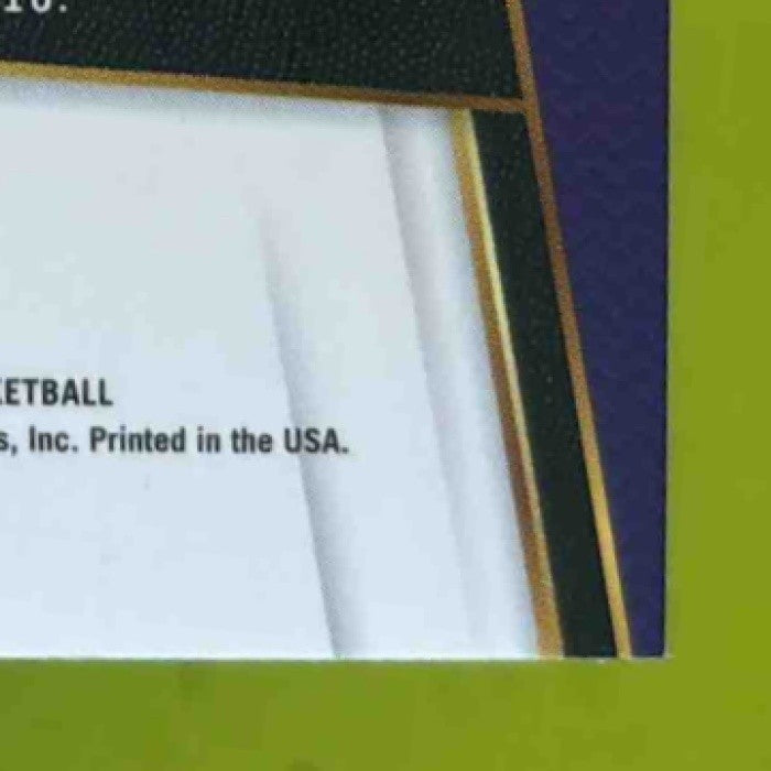 2017-18 Panini Select Skal Labissiere Zebra Prizms #136 Sacramento Kings - Sports Cards