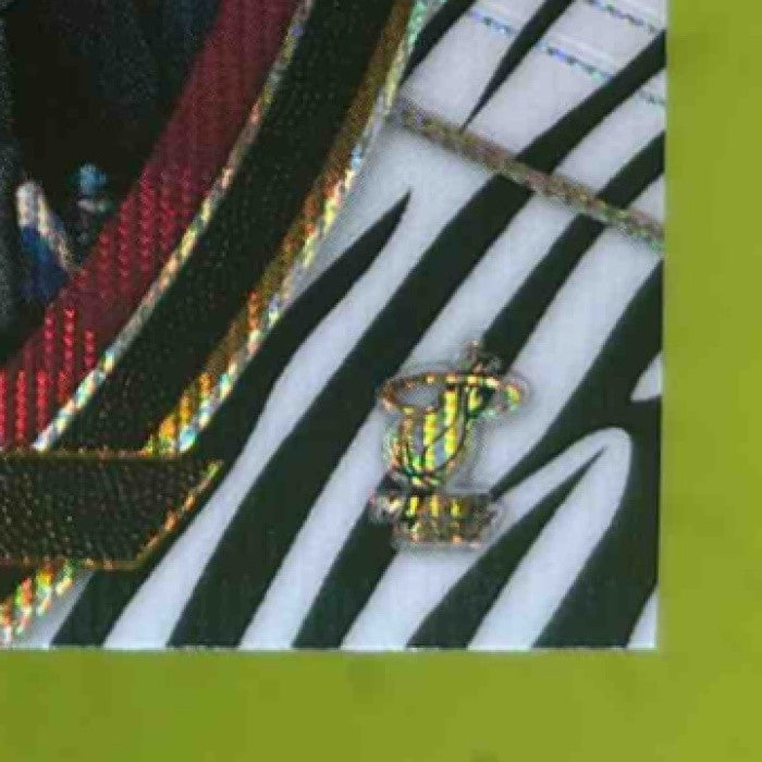 2017-18 Panini Select Tyler Johnson Zebra Prizms #14 Concourse Miami Heat - Sports Cards