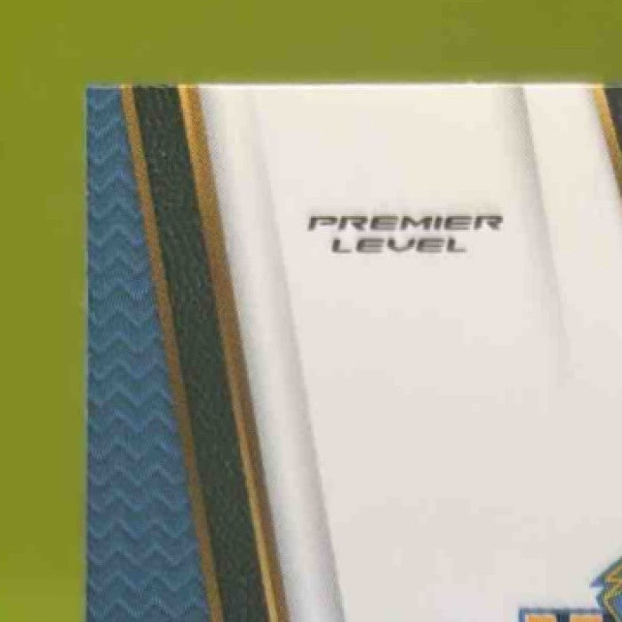 2017-18 Panini Select Wilson Chandler Zebra Prizms #178 Denver Nuggets - Sports Cards