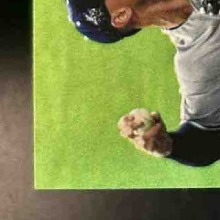 2017 Topps Update Aaron Judge #US166 RC New York Yankees - Sports Cards