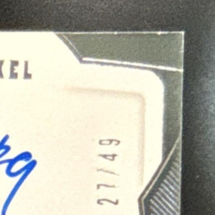 2018-19 Panini Dominion Nick Van Exel Peerless Jersey Auto /49 Lakers - Sports Cards