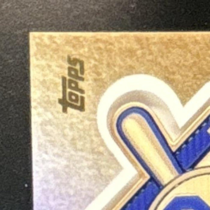 2018 Topps Update Rhys Hoskins Jackie Robinson Day Manufactured Patch /99 MEM RC - Sports Cards