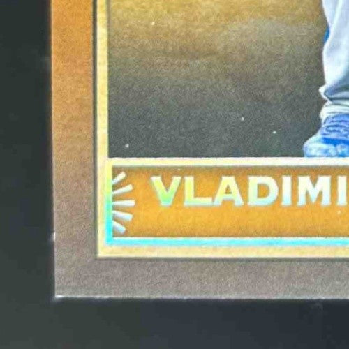 2019 Chronicles Vladimir Guerrero Jr. Timeless Treasures Silver /25 #19 RC Jays - Sports Cards