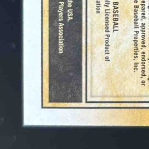 2019 Chronicles Vladimir Guerrero Jr. Timeless Treasures Silver /25 #19 RC Jays - Sports Cards