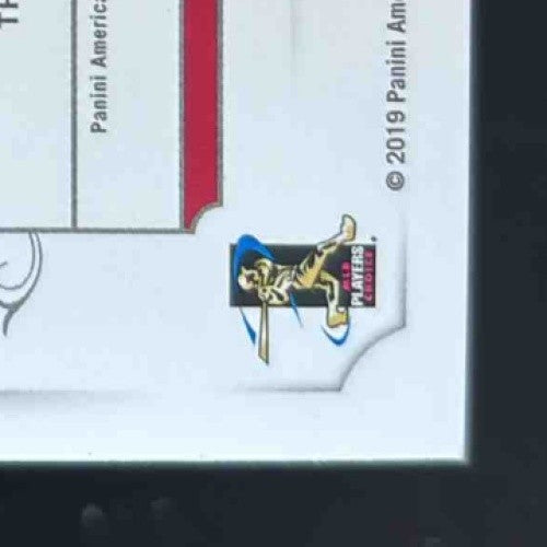 2019 National Treasures Daniel Ponce de Leon /49 #44 MEM Auto RC Cardinals - Sports Cards