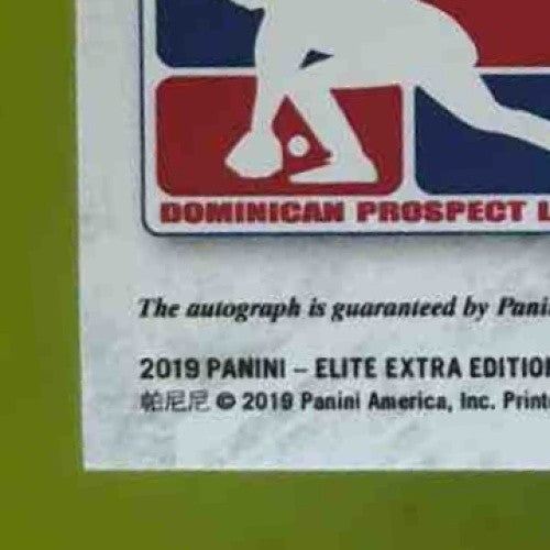 2019 Panini Elite Extra Edition Rikelvin Castro Auto #111 - Sports Cards
