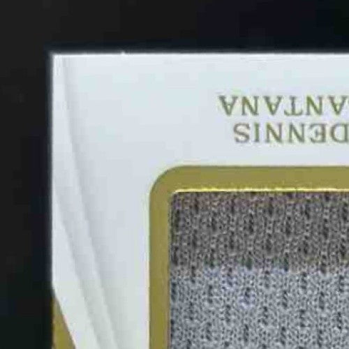 2019 Panini Immaculate Collection Dennis Santana Doubles /99 MEM Auto Dodgers - Sports Cards