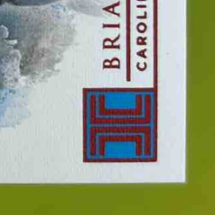 2019 Panini Impeccable Brian Burns Rookie Auto Red 37/75 #159 RC Panthers - Sports Cards