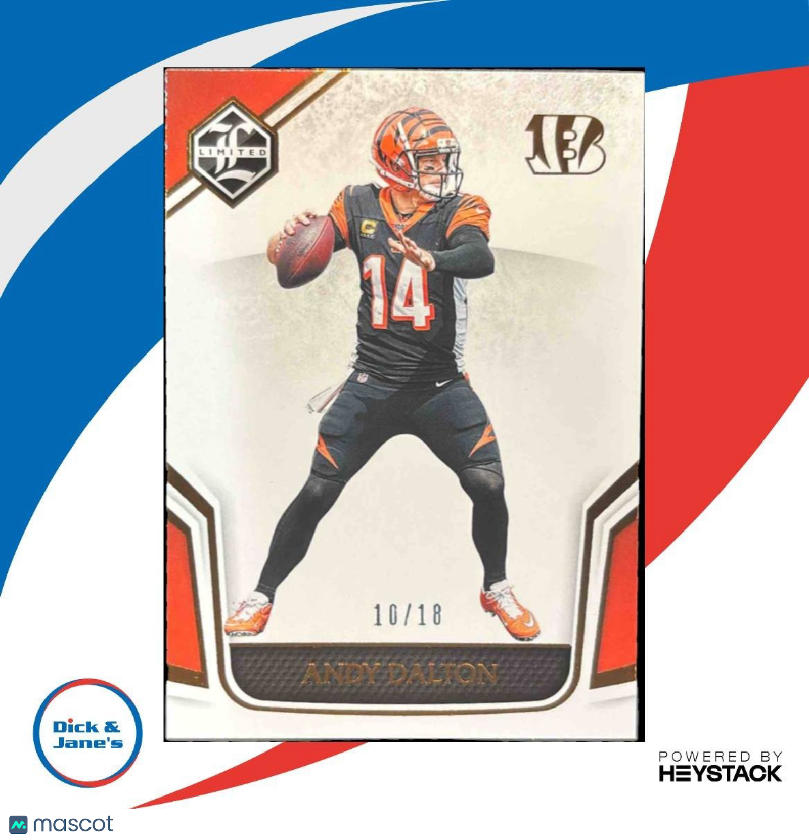 2019 Panini Limited Andy Dalton Bronze Spotlight 10/18 #20 Cincinnati Bengals - Sports Cards