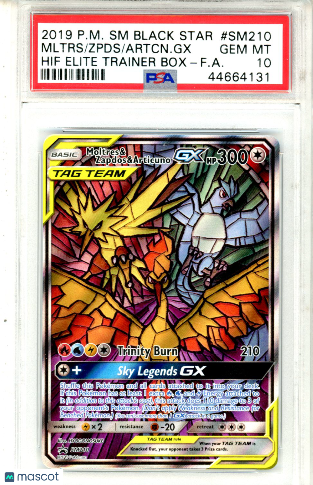 2019 Pokemon SM Black Star Promo Articuno GX Zapdos Moltres SM210 ETB FA PSA 10 - Graded TCG/CCG