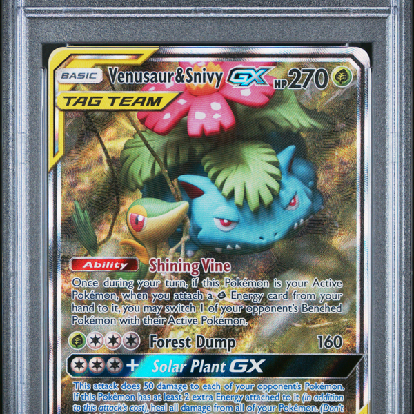 2019 Pokemon SM Promo Venusaur & Snivy GX #SM229 FA