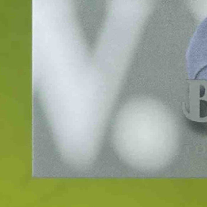 2019 Topps Stadium Club Brandon Lowe Auto #SCA-BL RC Tampa Bay Rays - Sports Cards