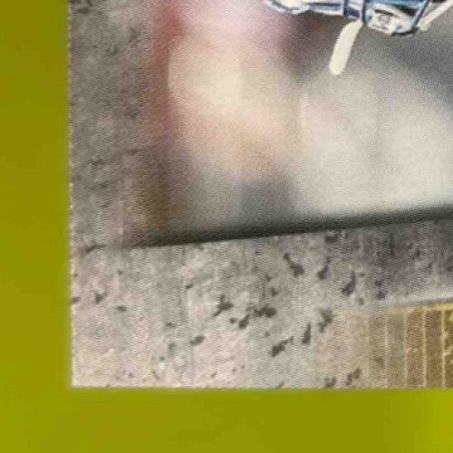 2020 Leaf Draft Curtis Weaver Auto #BA-CW1 RC Boise State Broncos - Sports Cards