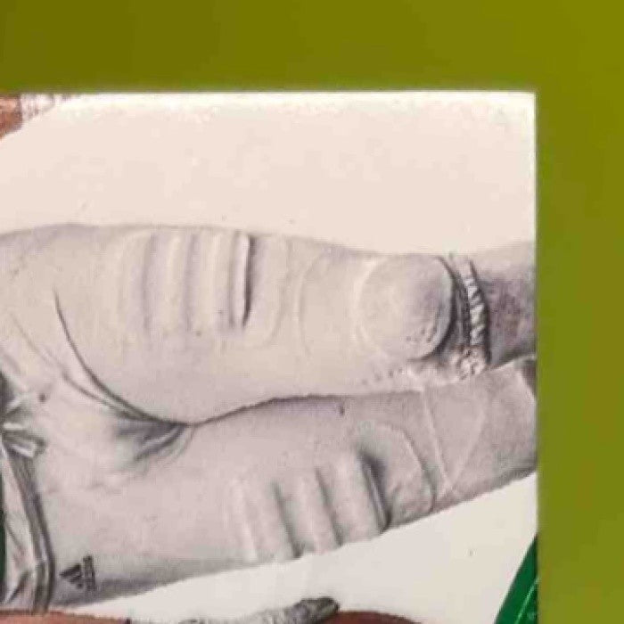 2020 Panini Flawless Collegiate Maxx Crosby Team Logo Signatures Emerald /5 Auto - Sports Cards