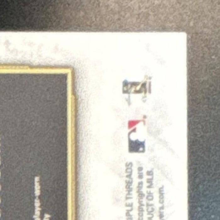 2020 Topps Triple Threads Aaron Nola Single Jumbo Relic Amethyst /27 MEM Phillie - Sports Cards