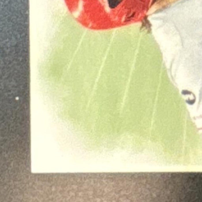 2020 Topps Update Bryce Harper Baseball Coin Cards #TBC-BH Philadelphia Phillies - Sports Cards