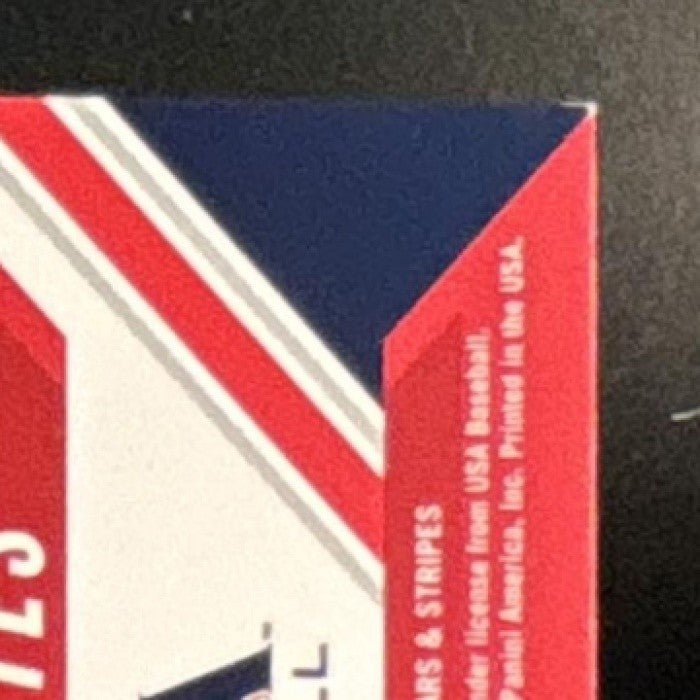 2020 USA Baseball Stars & Stripes Sal Stewart Silhouettes Signature Jersey /199 - Sports Cards
