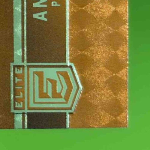 2021-22 Panini Donruss Elite Anfernee Simons Orange /210 #57 Trail Blazers - Sports Cards