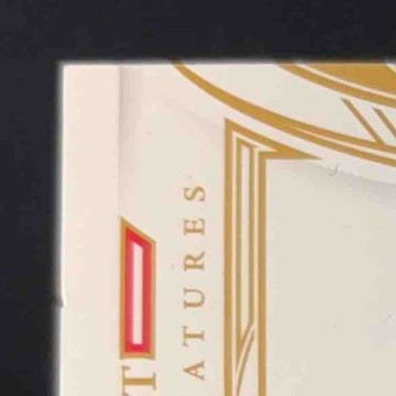 2021-22 Panini Flawless Jonas Valanciunas Draft Gem Signatures Ruby 8/15 Auto - Sports Cards