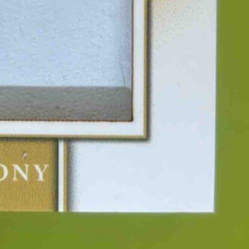 2021 Leaf Perfect Game National Showcase Roman Anthony Patch Auto Gold /12 PA-RA - Sports Cards