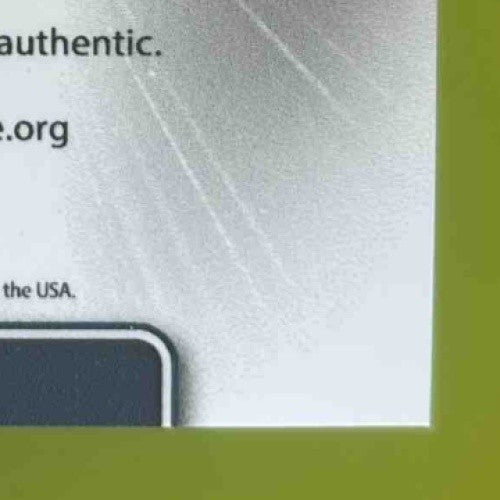 2021 Leaf Perfect Game National Showcase Roman Anthony Patch Auto Gold /12 PA-RA - Sports Cards