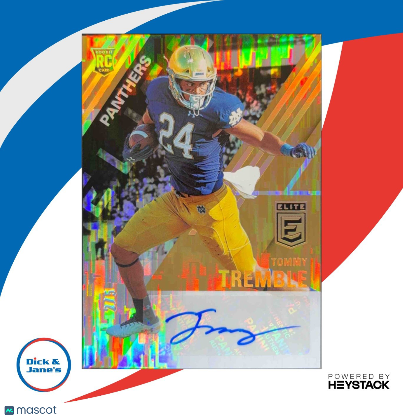 2021 Panini Donruss Elite Tommy Tremble Rookie Auto Gold /5 RC Carolina Panthers - Sports Cards