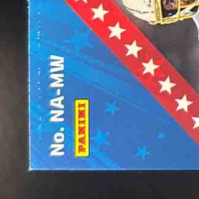 2022 Panini Rookies & Stars Mike Williams NFL Authentic MEM Los Angeles Chargers - Sports Cards