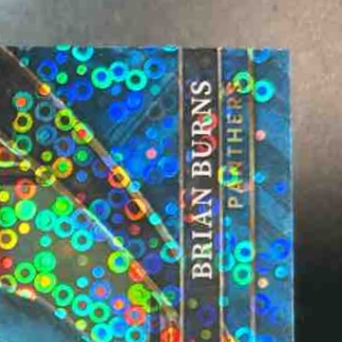 2022 Panini Select Brian Burns Red Disco Prizm /49 #359 Suite Carolina Panthers - Sports Cards